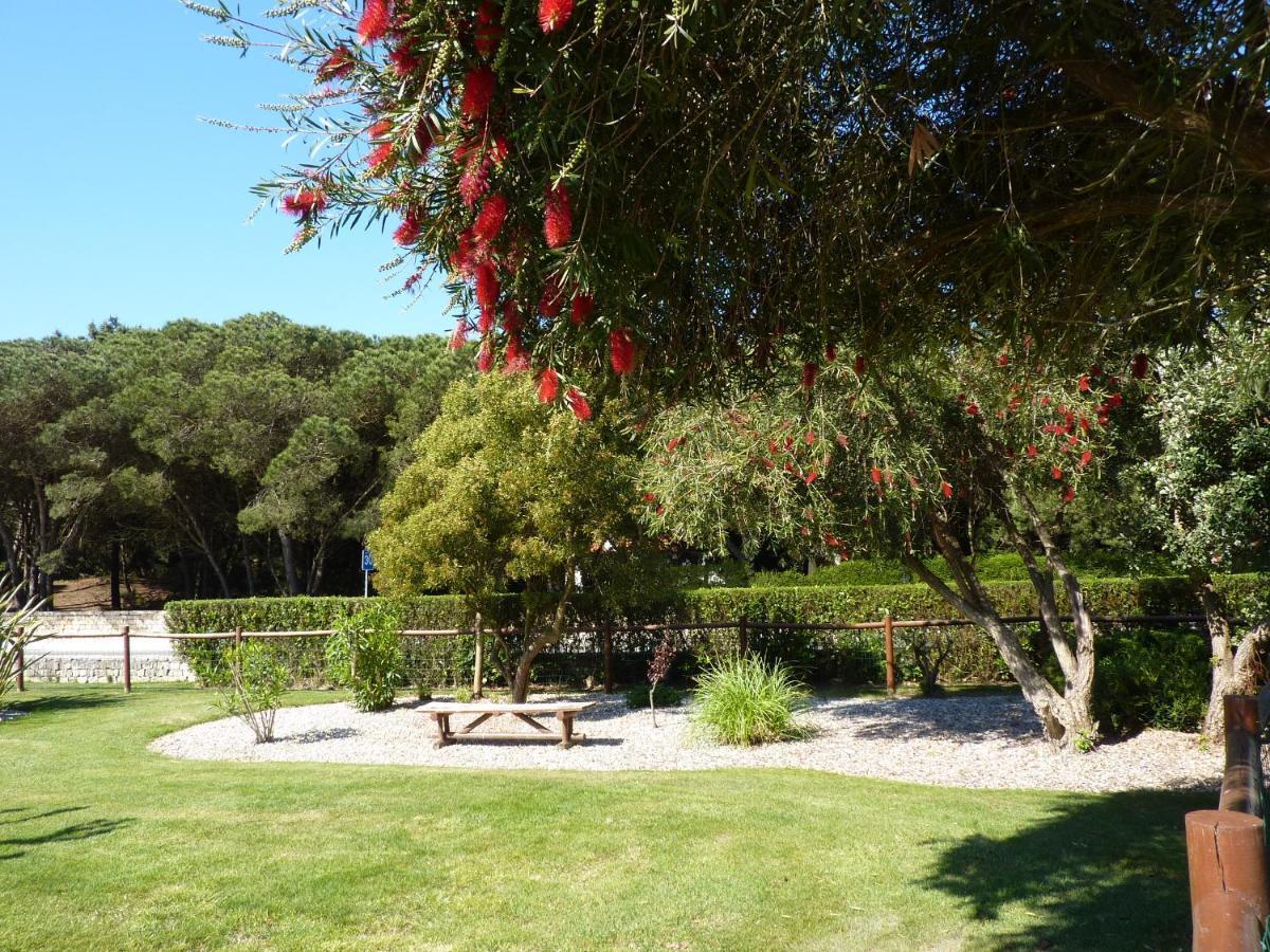 Apartamento Moura - Praia D'El Rey Golf, Surf & Beach Resort Praia del Rei Εξωτερικό φωτογραφία